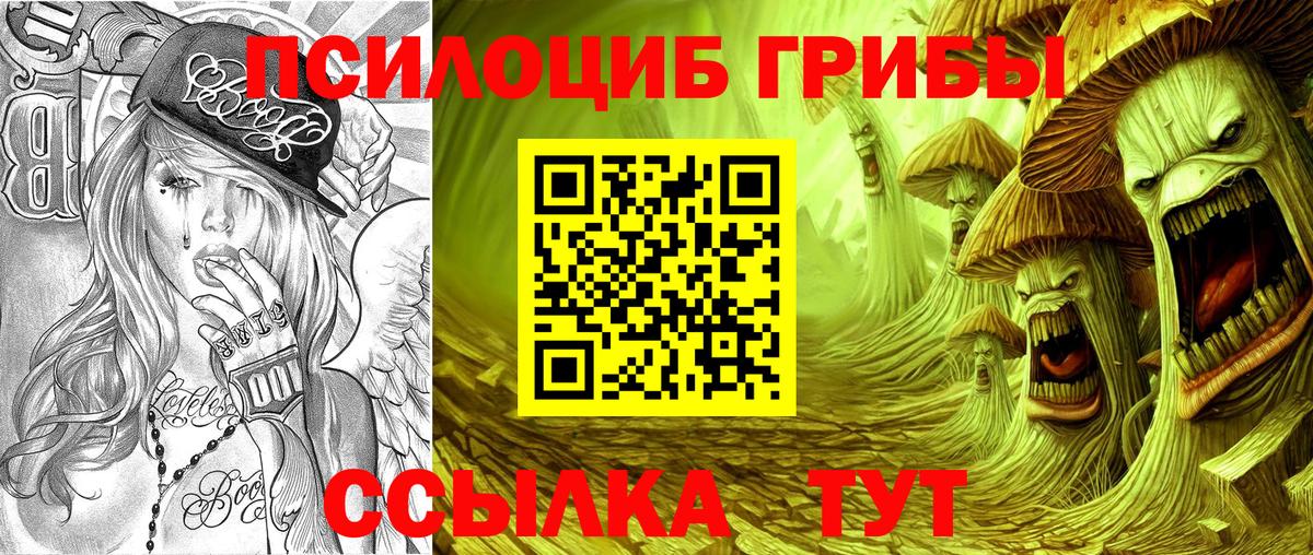 Бугульма  Псилоцибиновые грибы мицелий  Вход с VPN 